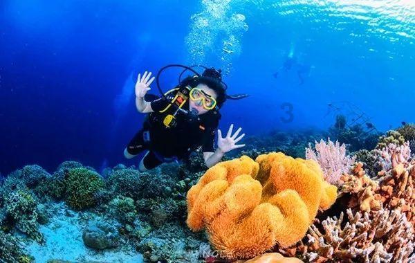 菲律宾耗资100亿购买中国高铁,7天后却要求退货,究竟为何?-中国领先的知识问答网站
